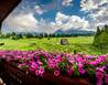 DSC_6716 - Belianské Tatry