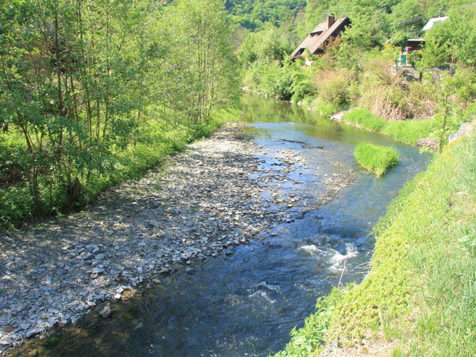 IMG_5366 - Štěchovice