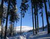 Pension_Fontana_B149_foto_13 - Špindlerův Mlýn
