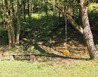 20230920_101924 - U Vlárského průsmyku