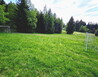 20250514_162433 - Visalaje