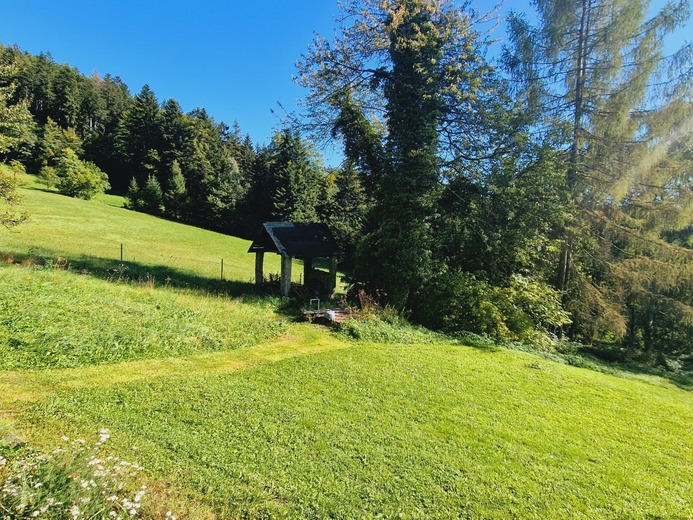 20230920_144926 - V Lipovém