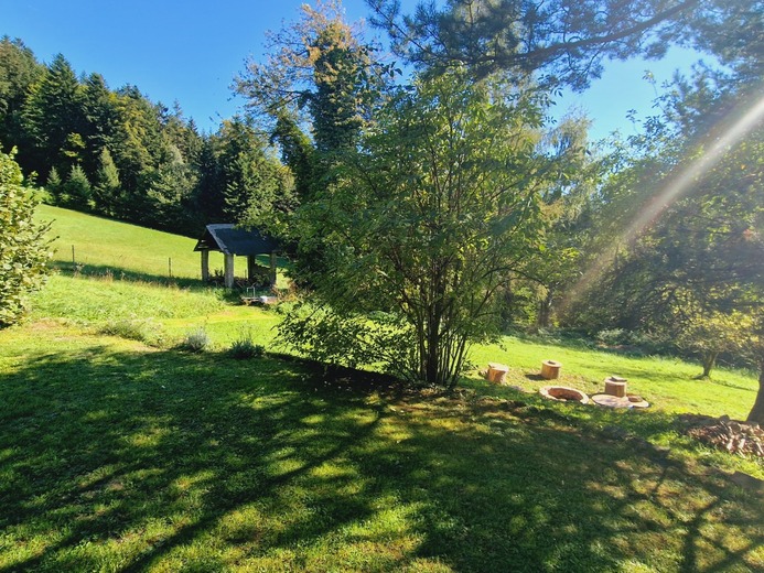 20230920_145156 - V Lipovém