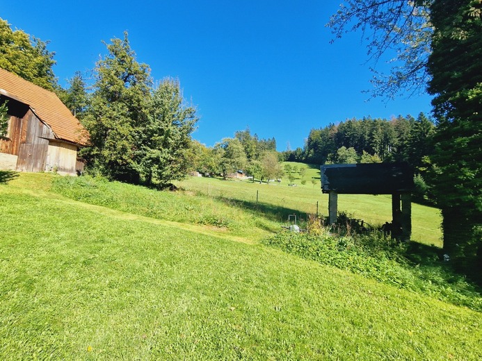 20230920_145508 - V Lipovém