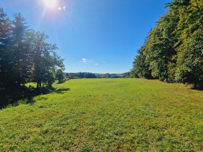 20230920_152531 - V Lipovém