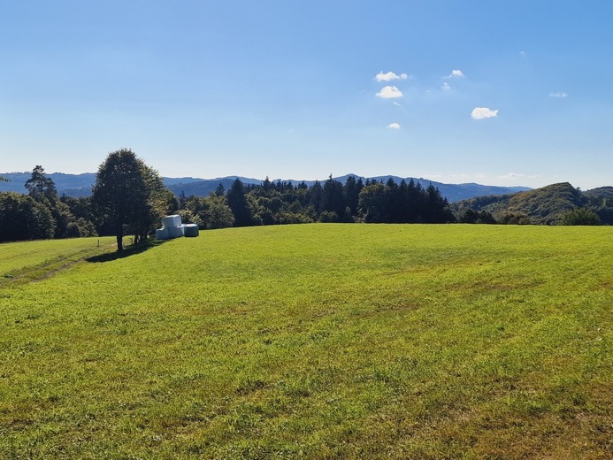 20230920_152607 - V Lipovém