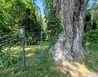 20230525_134241 - U Kerska