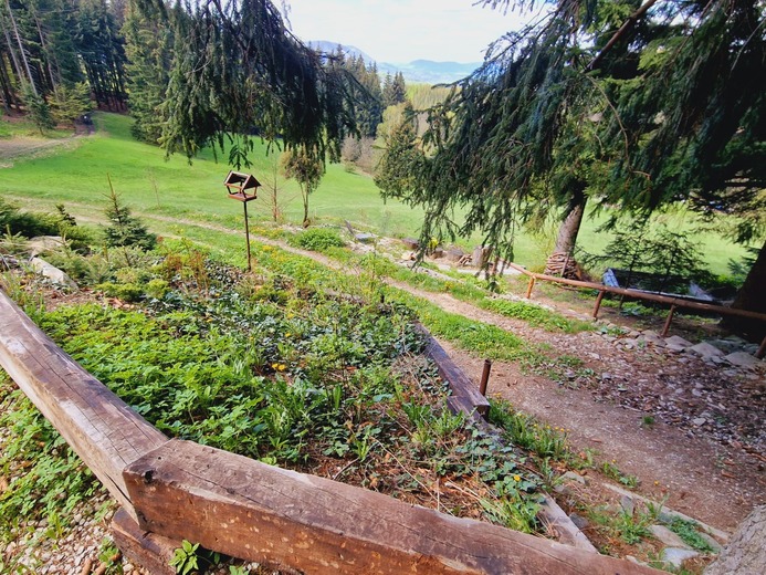 20230511_104528 - Pod Lysou horou