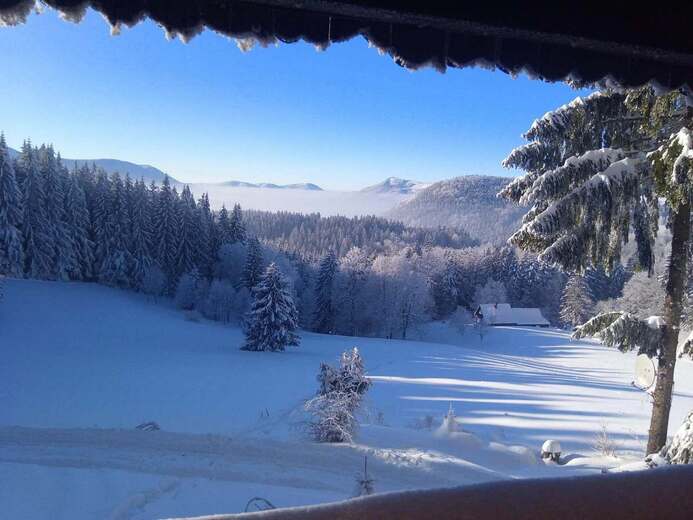 323533293-859650221818426-3007929202901585553-n-47ae- - Pod Lysou horou