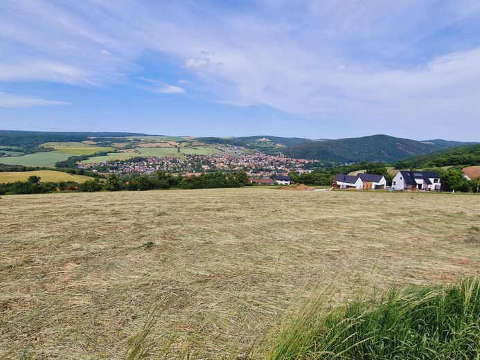 20230601_150048 - Beroun