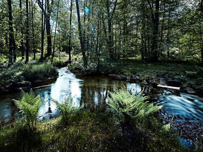 dolni-poustevna-0324-bas-web1683024205 - Pod Spáleným vrchem