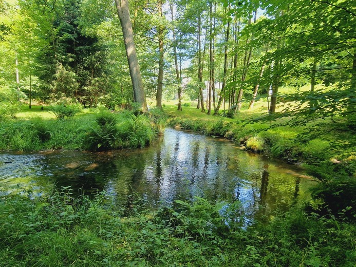 20230621_104509 - Markéta