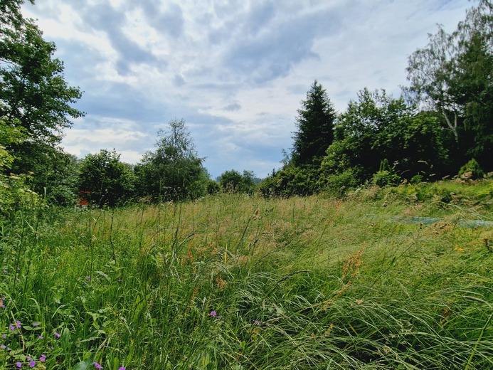 20240605_152751 - Hnačovský rybník