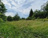 20240605_152751 - Hnačovský rybník