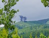 20250611_141119 - Pod Králickým Sněžníkem