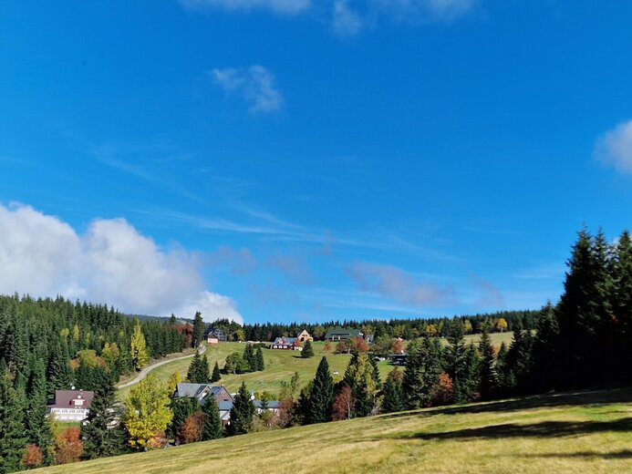 20221009_110907-original1734609649 - Eliščino údolí