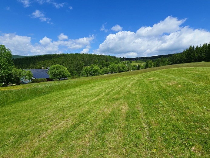 20250625_122649 - Eliščino údolí