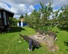 20250710_102315 - Pod Brdem