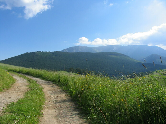 IMG_1040 - Belianské Tatry                         