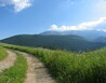 IMG_1040 - Belianské Tatry