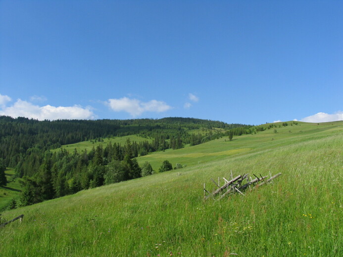 IMG_1043 - Belianské Tatry
