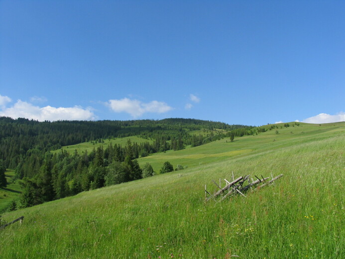 IMG_1043 - Belianské Tatry                         