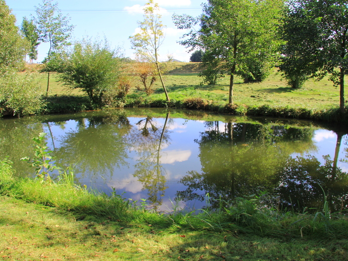 IMG_9962 - U řeky Kamenice