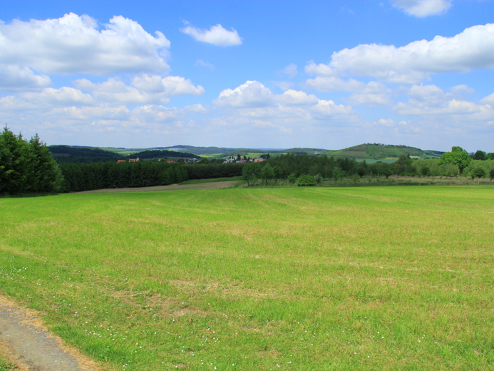 IMG_3762 - Záhoří