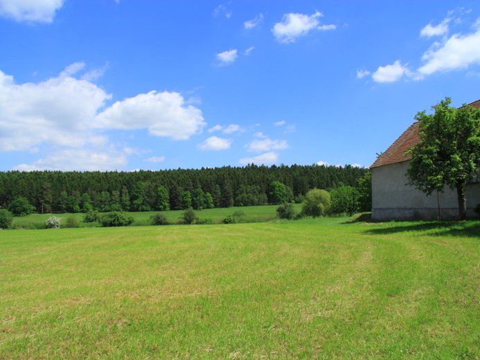 IMG_3729 - Záhoří