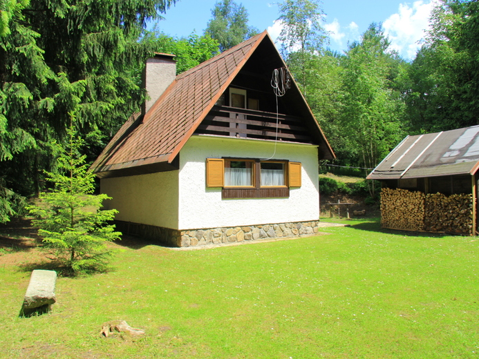 IMG_3070 - U Vysočina Arény