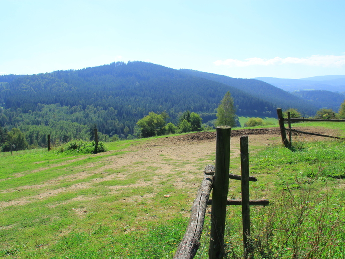 IMG_8942 - Šimanov