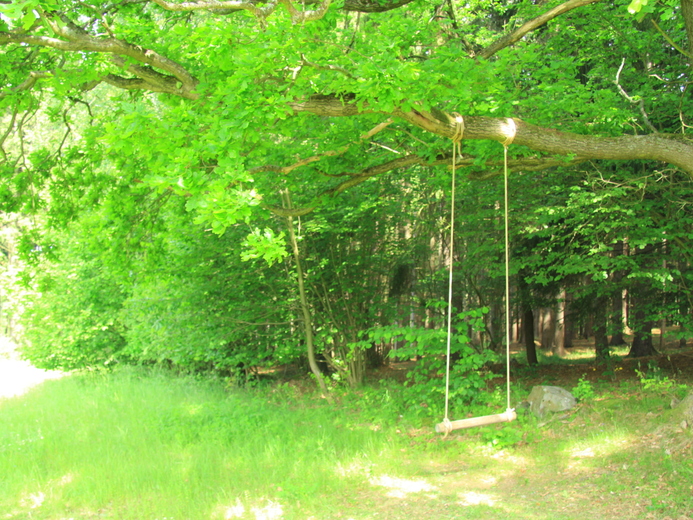 IMG_9413 - Nemojovský rybník