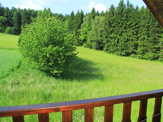 IMG_9397 - Nemojovský rybník