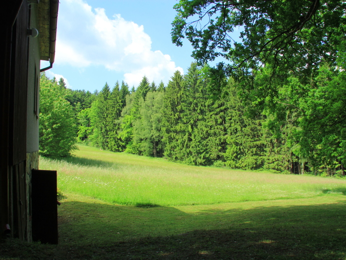 IMG_9420 - Nemojovský rybník