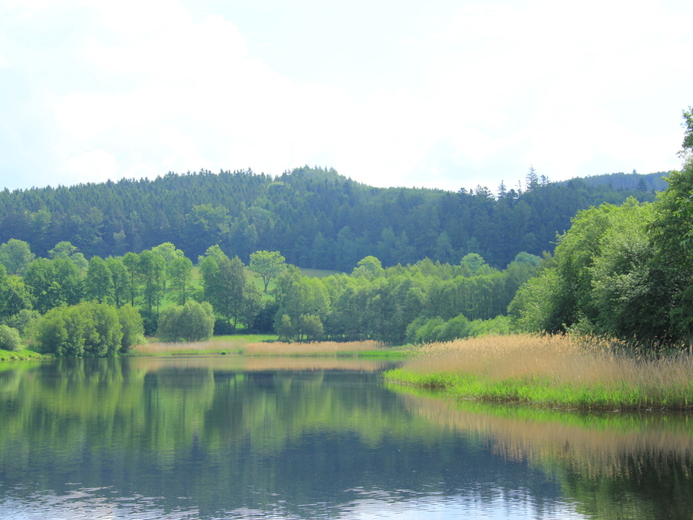 IMG_9423 - Nemojovský rybník