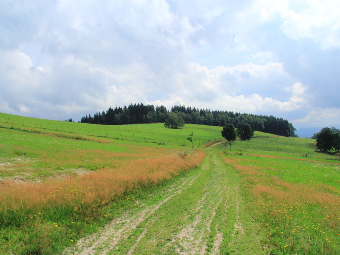 IMG_3646 - Hynčice pod Sušinou