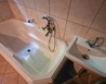 20230601_125918 - Zadní Třebaň