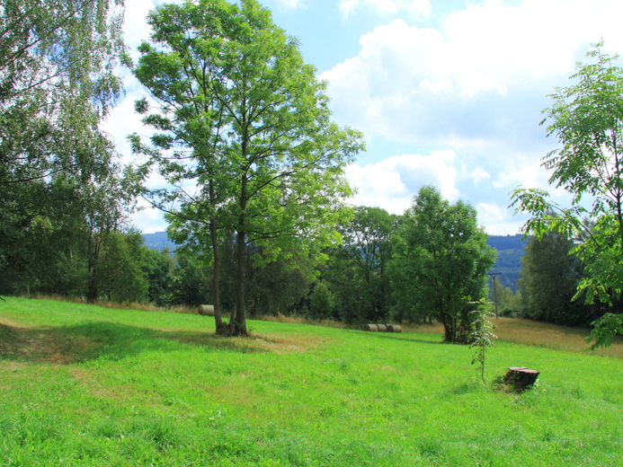 IMG_4687 - Jestřabí v Krkonoších