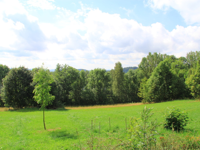 IMG_4696 - Jestřabí v Krkonoších