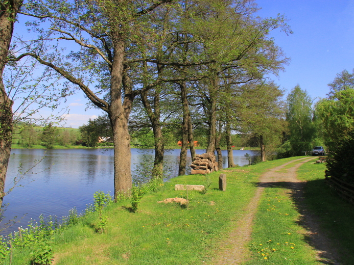 IMG_7313 - Skalský rybník