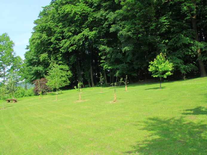 IMG_8384 - Mniší