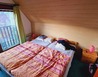 20231101_155409 - Zlaté Hory