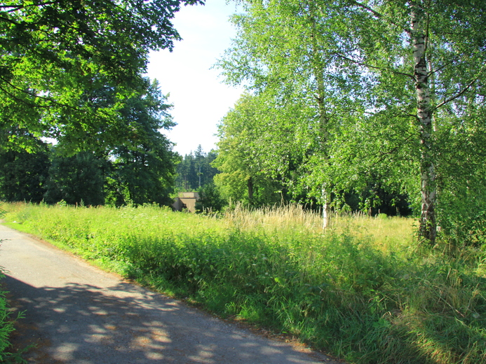 IMG_9797 - Zlaté Hory