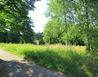 IMG_9797 - Zlaté Hory