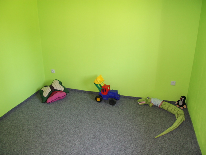 IMG_9424 - Horní Olešnice