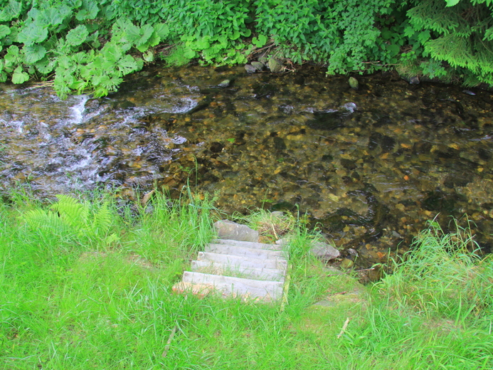 IMG_5806 - Karlova Studánka