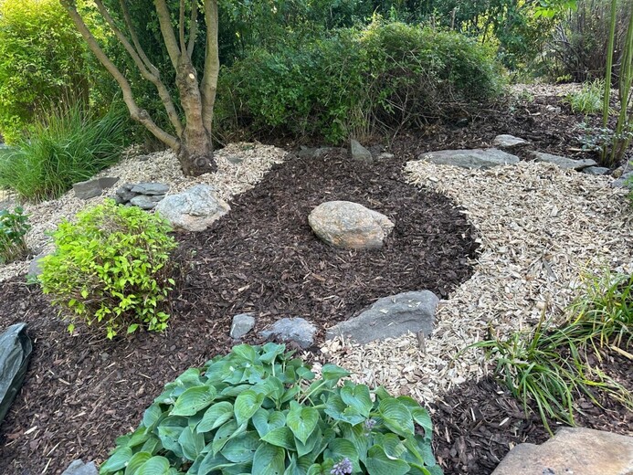 IMG_3621 - Karlova Studánka