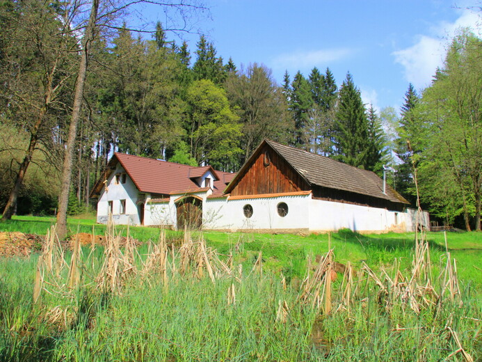 IMG_2618 - Mnich