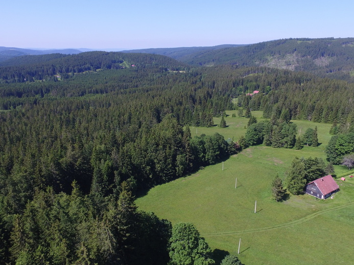 DJI_0040 - Modrava