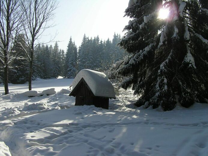 4z - Modrava